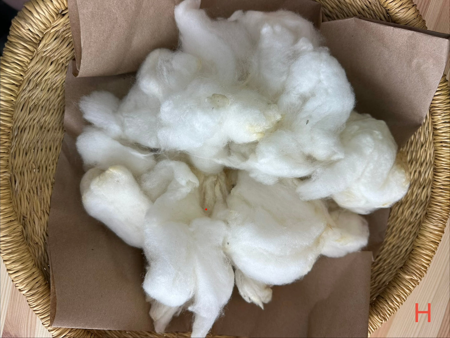Loose Fleece - Clean